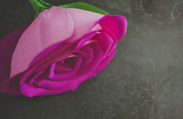 Гигантские розы - арт рецепт (16 фото)