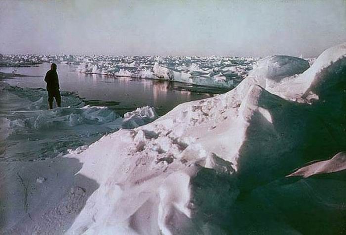 Антарктида в 1915 году (19 фото)