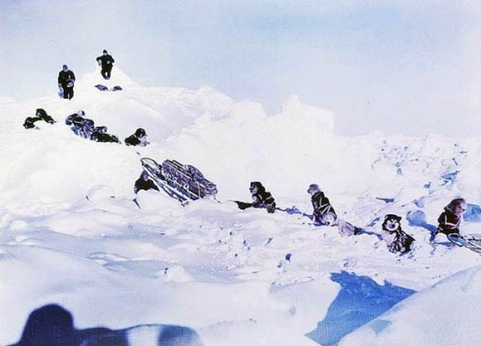 Антарктида в 1915 году (19 фото)