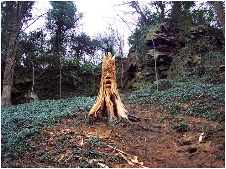 Вторая жизнь срубленных деревьев (13 фото)