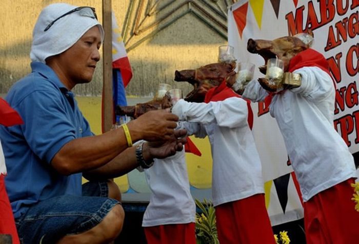 На Филиппинах прошел фестиваль жареных поросят (18 фото)