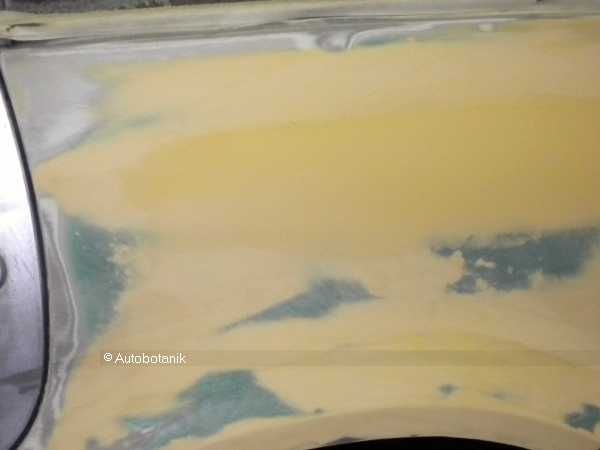 В жёлтую акулу из грязно-серой мыши (57 фото)