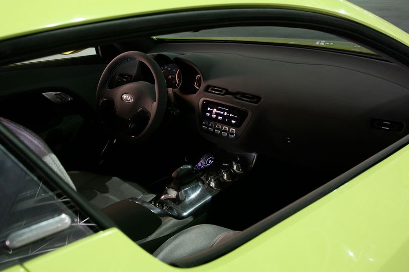 Спортивное заднеприводное купе с мотором V8 от Kia (10 фото)