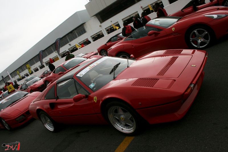 Встреча самого старого Ferrari клуба в Йоханнесбурге (74 фото)