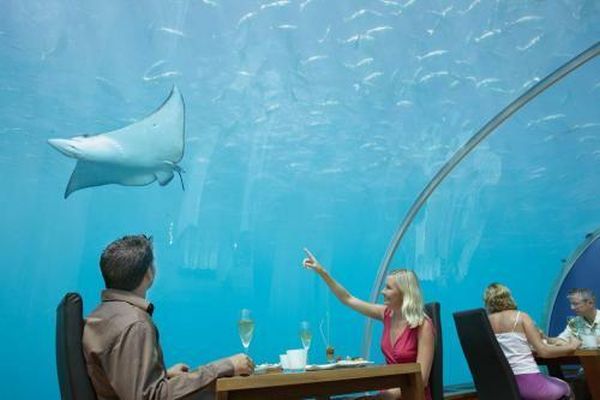 Подводный ресторан на Мальдивах (7 фото)