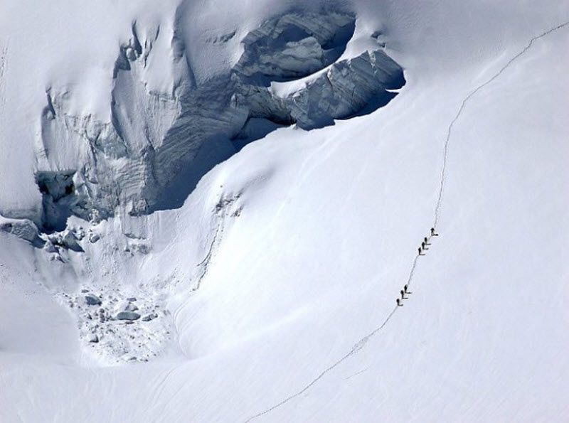 24. Альпийская дорожка в неизвестность под нависшим снегом и льдом в Ла Грэйв, Франция. (Lonely Planet's 100 Million Competition / John Holt)