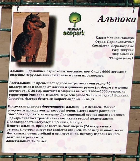 Частный зоопарк в Харькове (78 фото)