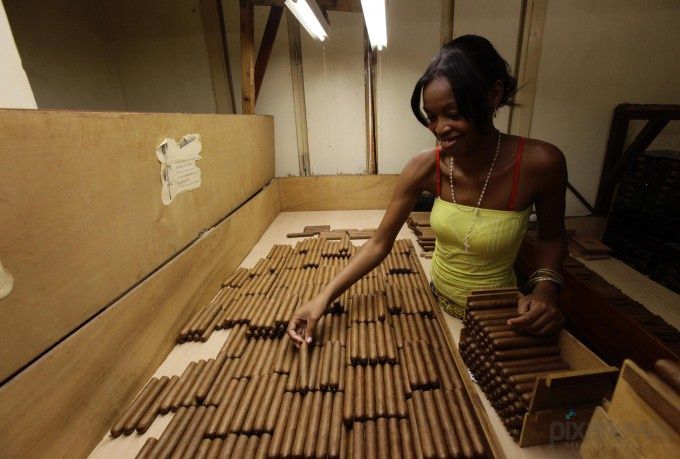 Как делают кубинские сигары (11 фото)