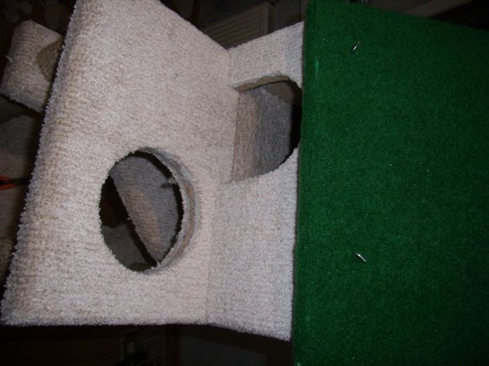 Строим домик для любимого котика  (39 фото)