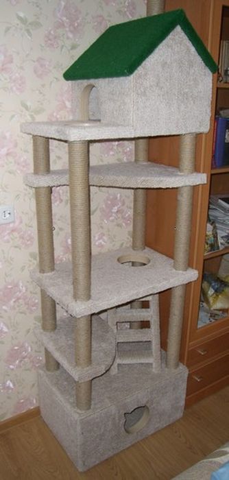 Строим домик для любимого котика  (39 фото)