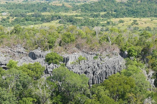 Каменный лес на Мадагаскаре (40 фото)