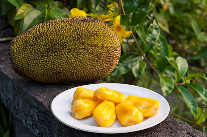 Тропические фрукты, которые нужно попробовать в Азии (25 фото)