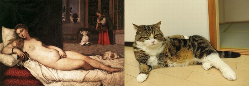 Шедевры живописи в кошачьем исполнении (21 фото)