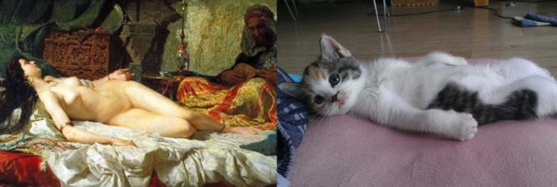 Шедевры живописи в кошачьем исполнении (21 фото)
