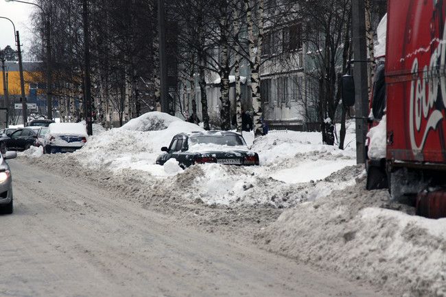 Автовладельцев обязали убирать улицы (12 фото)