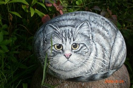 кот, творения, камень