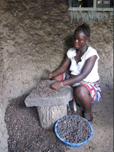 3. Пальмовое масло является основным источником дохода в Сьерра-Леоне и на территории Джайама Бонгоре (юг страны). Мужчины взбираются на пальмы, чтобы собрать орехи, а вся семья обычно участвует в трудоёмком процессе изготовления масла.
