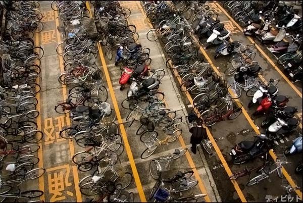 Как паркуются велосипедисты (20 фото)