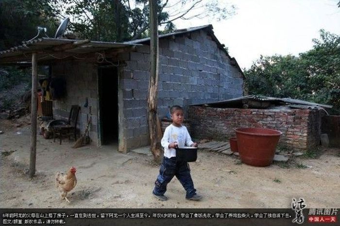 6-летний ребенок выживает в одиночку (12 фото)