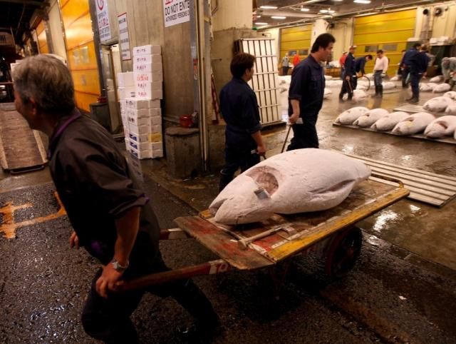 Самый знаменитый рыбный рынок в Японии (18 фото)