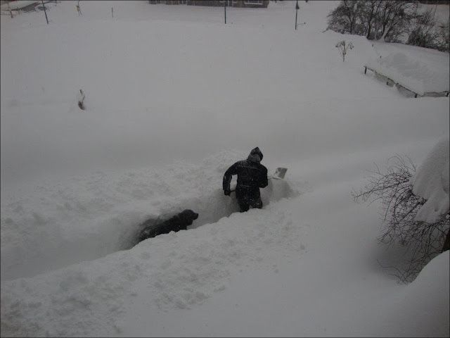 Зимняя забава - найди свою машину во дворе (20 фото)