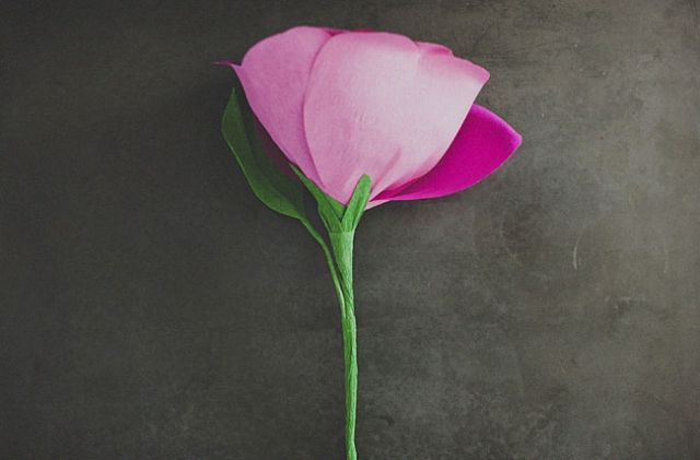Гигантские розы - арт рецепт (16 фото)