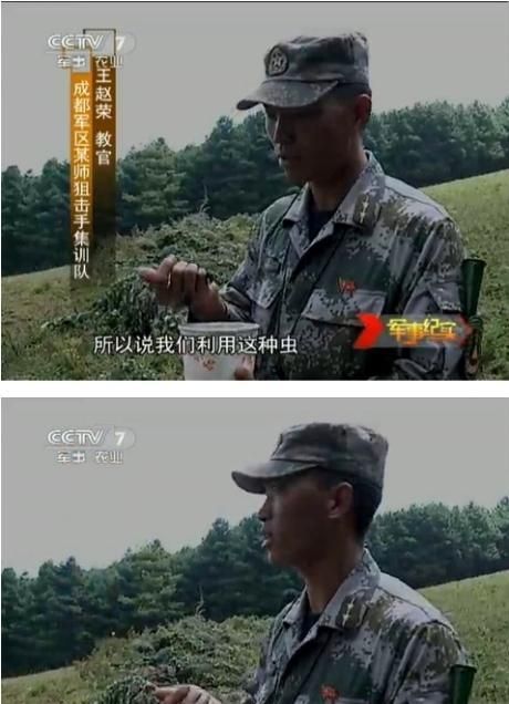 Как готовят китайских снайперов? (8 фото)