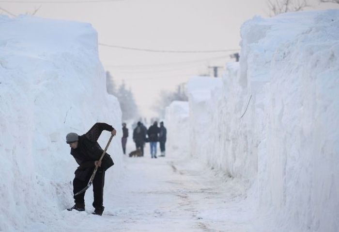 Румынскую деревню завалило почти пятиметровым слоем снега (33 фото)