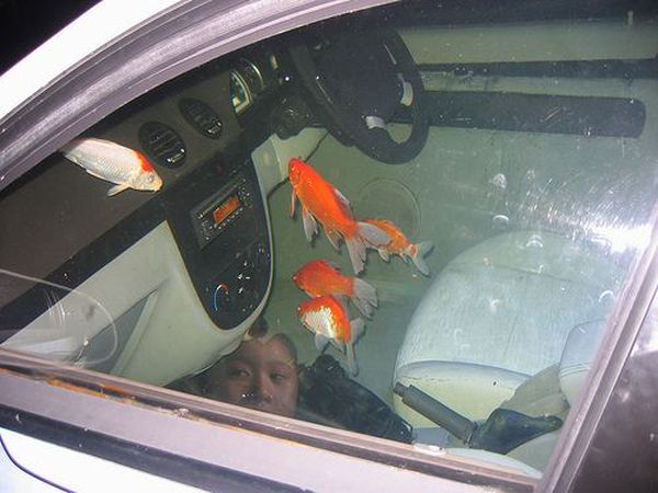 Аквариум внутри автомобиля (16 фото)