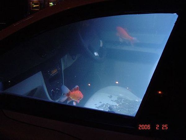 Аквариум внутри автомобиля (16 фото)