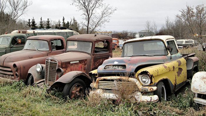 Свалка старых грузовиков и автобусов в Канаде (6 фото)
