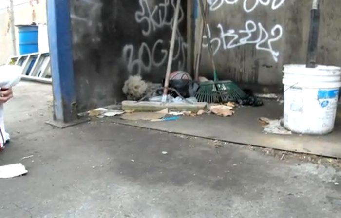 Спасение бездомного песика (видео)