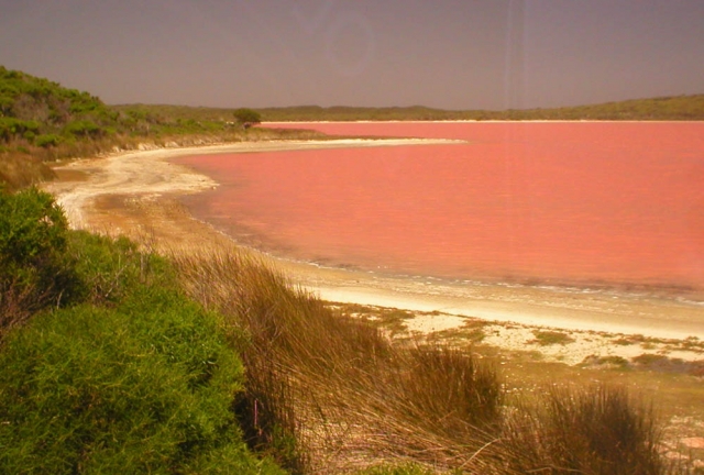 австралия, озеро, розовое озеро, природа