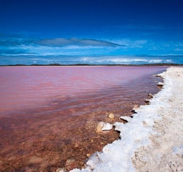 австралия, озеро, розовое озеро, природа