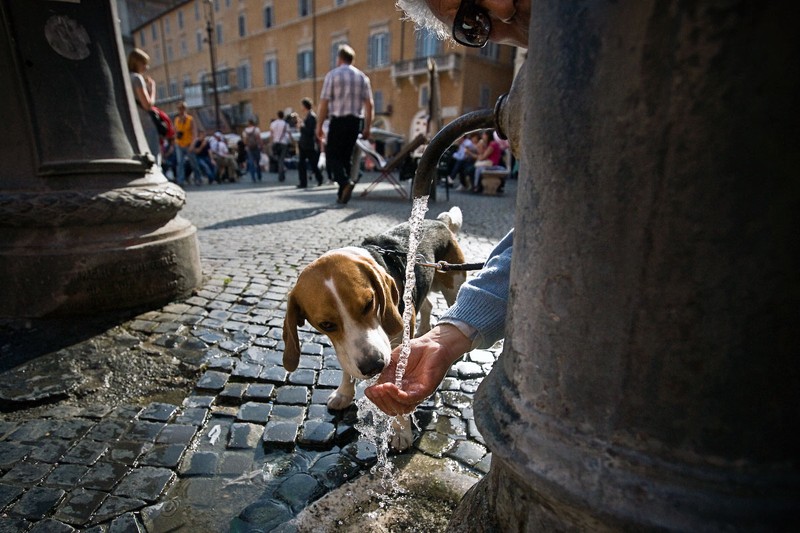 Прогулки по Риму (53 фото)