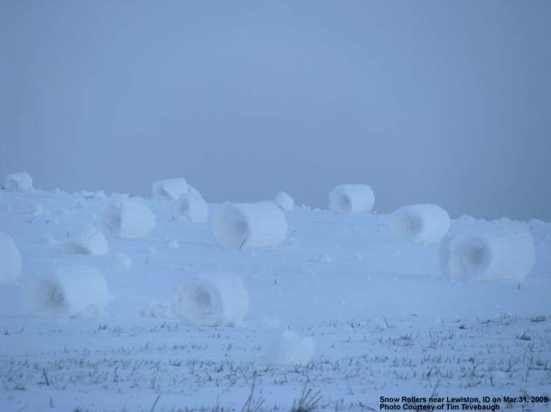 Снежные роллы (6 фото)