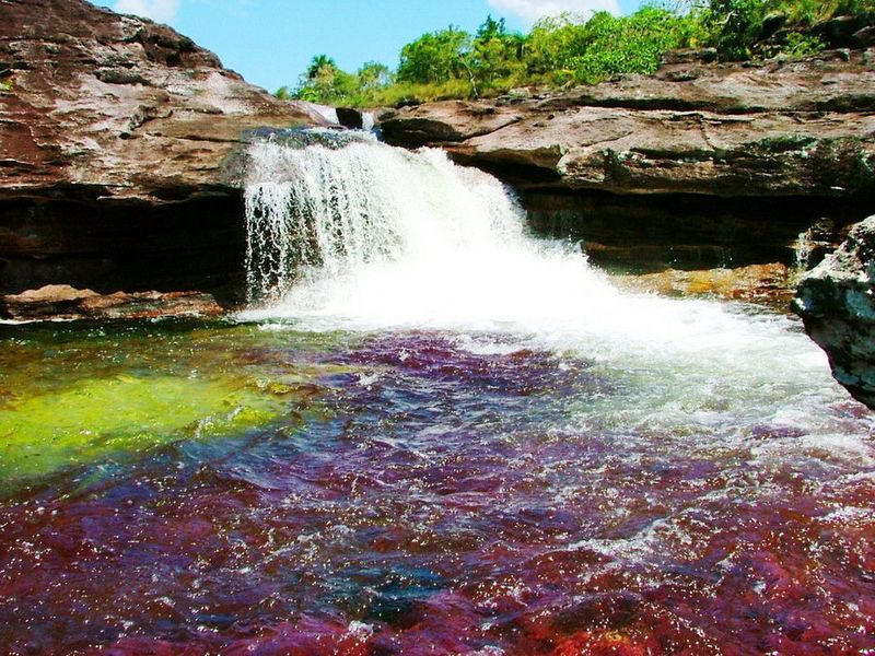 Каньо Кристалес – самая красивая река на Земле (37 фото)