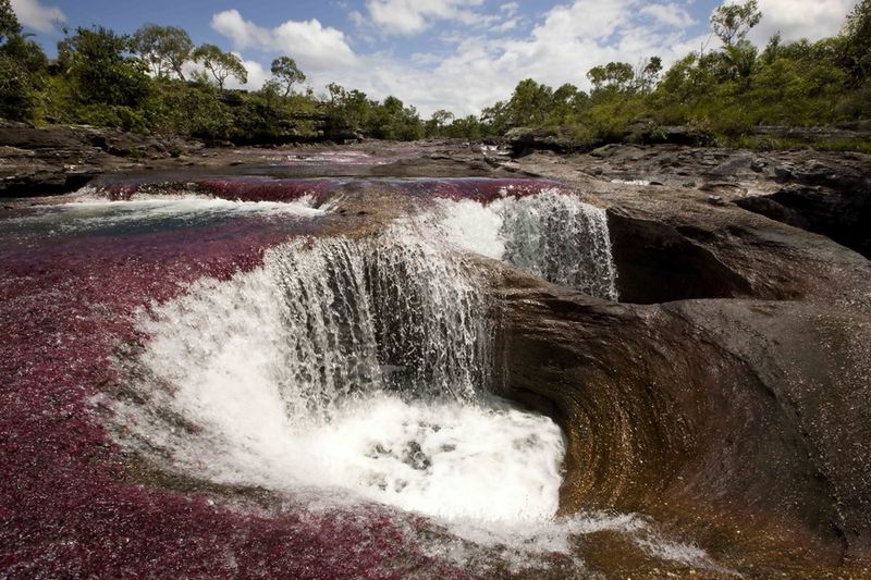 Каньо Кристалес – самая красивая река на Земле (37 фото)