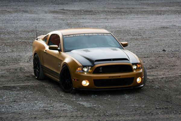 Ford Mustang Shelby GT640 Golden Snake (17 фото)