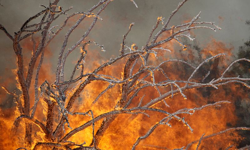 Лесной пожар на западной стороне Поссум Кингдома 16 апреля. (AP Photo/LM Otero)