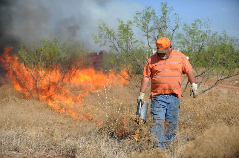 Шериф округа Стоунволл Билл Муллен образует встречный пожар в надежде, что он соединится с более крупным и уведет его на север. (AP Photo/The Abilene Reporter-News, Victor Cristales)