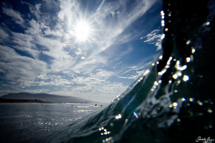 Волны и серфинг (39 фото)