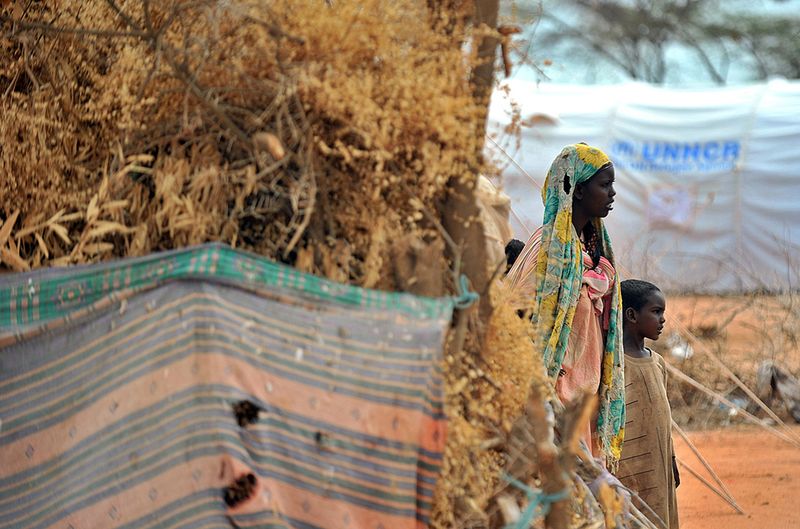 3. Сомалийские беженцы возле своих временных жилищ в лагере Дадааба 3 апреля 2011 года. (Tony Karumba/AFP/Getty Images)
