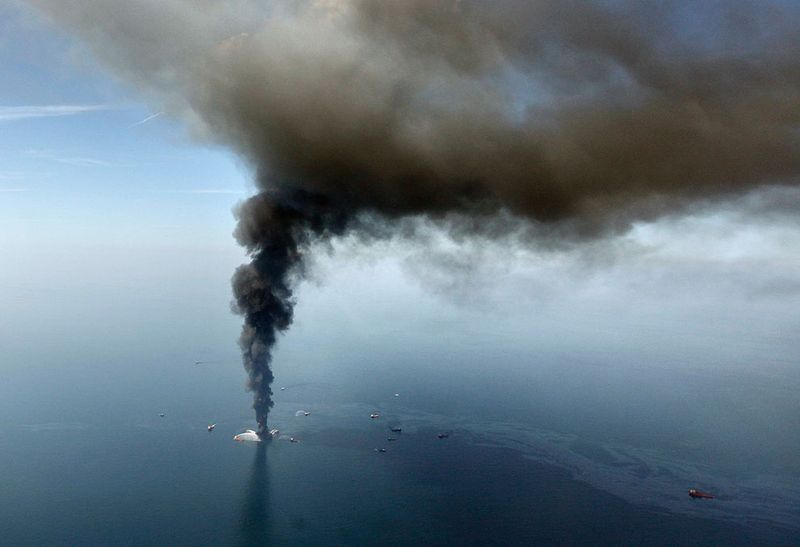 o03 21038512 Разлив нефти в Мексиканском заливе   год спустя