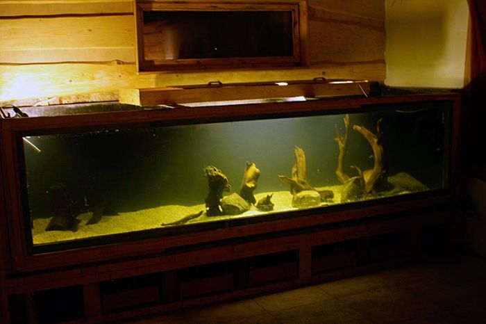 аквариум, своими руками