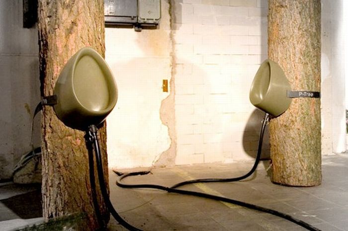 Туалет для мужчин на дереве (4 фото)