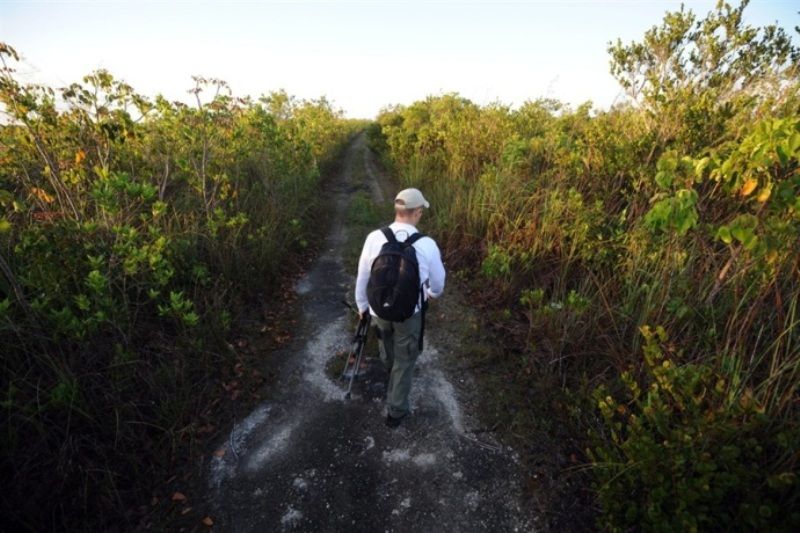 Охотник на питонов из Флориды (7 фото)