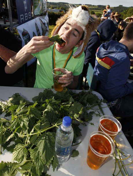 Соревнования по поеданию крапивы (9 фото)