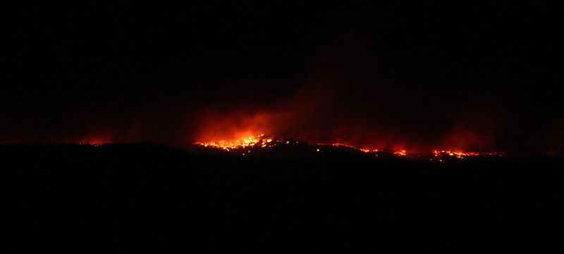 Лесные пожары в Нью-Мексико (33 фото)