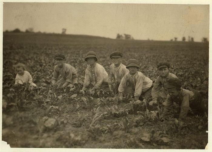 Детский труд в истории (25 фото)